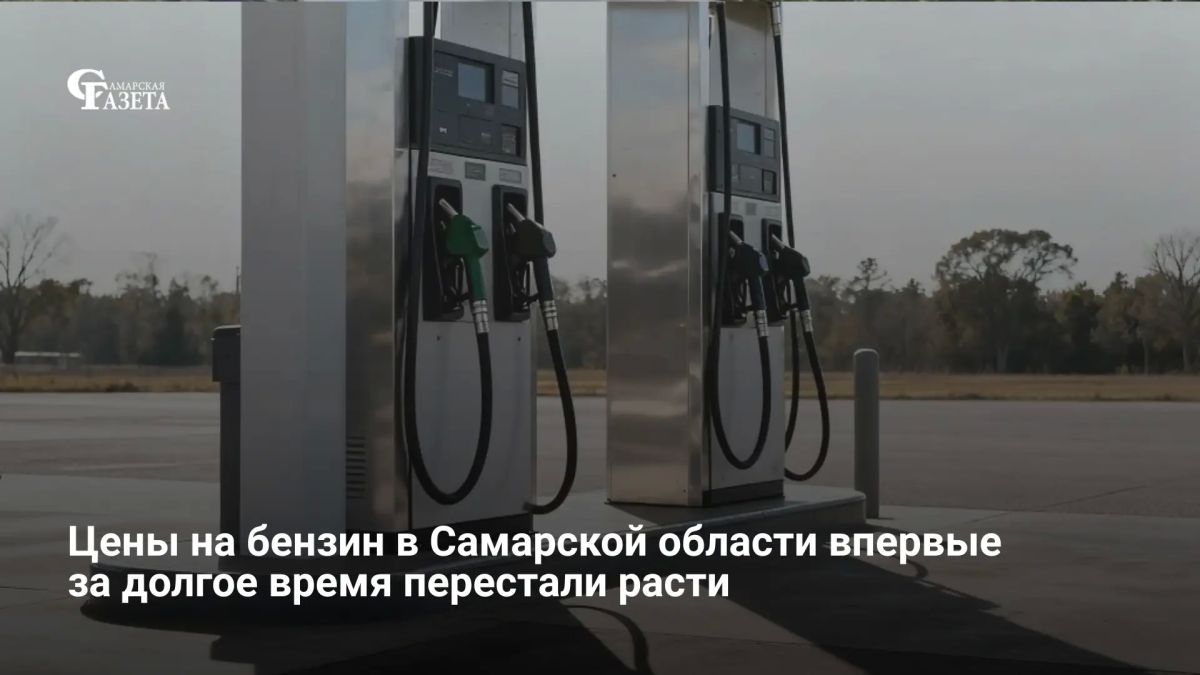 С 30 июля по 6 августа в регионе зафиксировали замедление роста цен на автотопливо, сообщает Самарастат