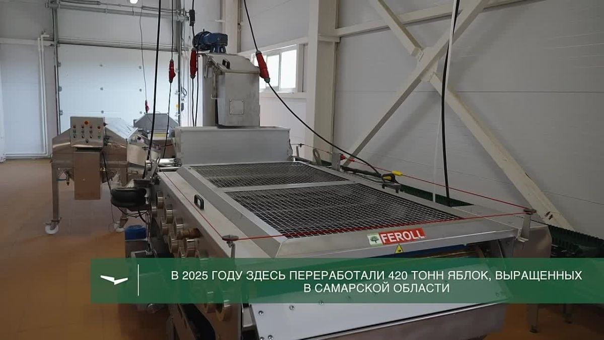 Производство и туризм: предприятие из Тольятти расширяет ассортимент напитков и проводит экскурсии