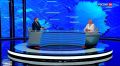 «Актуальное интервью»: звёздные шансы фигуристов Самарской области