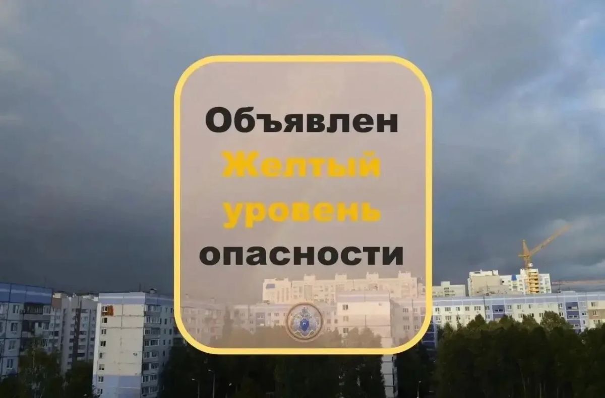 В ближайшие часы и до вечера в Самарской области ожидается гроза, ливень, шквалистое усиление ветра до 15-20 м/с, также возможен град