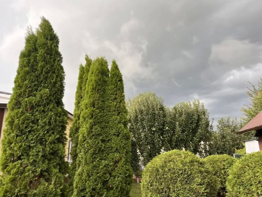 Ливень, гроза, град, ветер 15-20 м/с местами в Самарской области в ближайшие 1-2 часа до вечера Ливень, гроза, град, ветер 15-20 м/с местами в Самарской области в ближайшие 1-2 часа до вечера