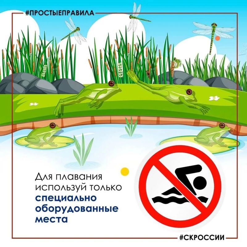 Следственный комитет России призывает взрослых не допускать бесконтрольного нахождения детей у водоемов в летний период В летний период на водных объектах значительно возрастает активность граждан и судоводителей. В это... Следственный комитет России призывает взрослых не допускать бесконтрольного нахождения детей у водоемов в летний период В летний период на водных объектах значительно возрастает активность граждан и судоводителей. В это...