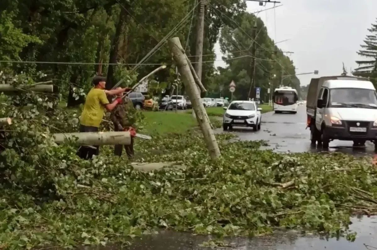 Мощный ураган в регионе. Стихия повалила деревья и повредила крыши