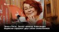 С собакой, оказавшейся на улице, может случиться все что угодно