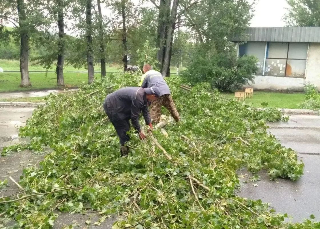 Около 50 специалистов участвуют в ликвидации последствий штормового ветра в Тольятти Около 50 специалистов участвуют в ликвидации последствий штормового ветра в Тольятти