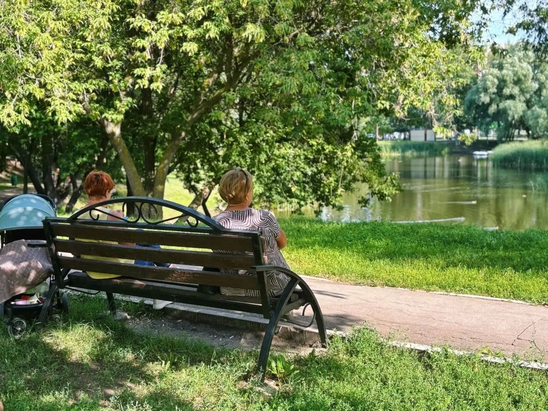 Зелёный пояс. Признания в любви Самаре — мегаполису с вековыми дубами у дома Зелёный пояс. Признания в любви Самаре — мегаполису с вековыми дубами у дома