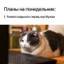������ ��������� ����!. ����� ���� � ������������ ������� ��� ���� �������� ��������� � ���������� ����