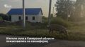 Жители села Грачевка Кинельского района жалуются на частную свиноферму в центре населенного пункта: скот свободно блуждает по улицам, а отходы жизнедеятельности животных загрязняют местную реку