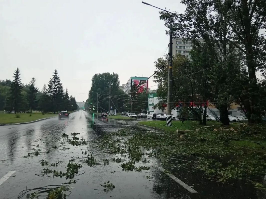 В Тольятти устраняют последствия шторма