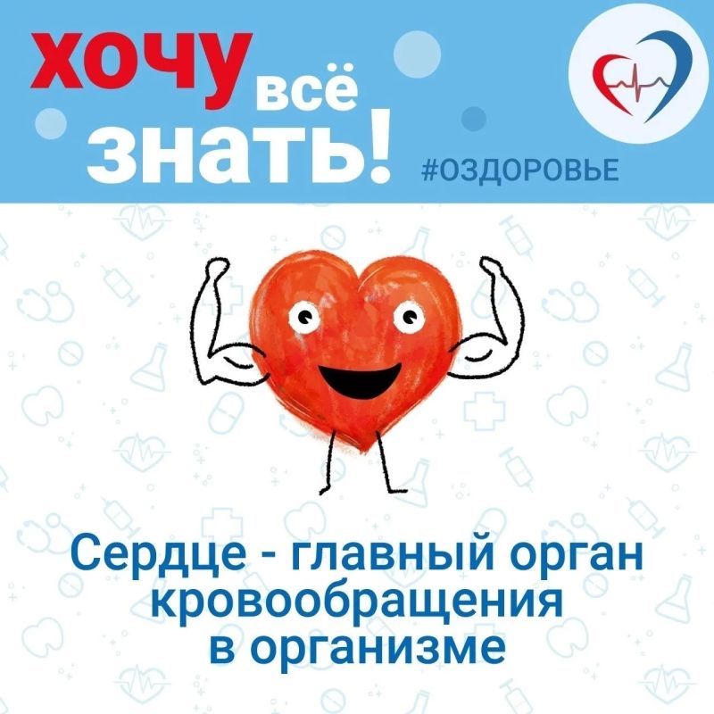10 интересных фактов о сердечно-сосудистой системе