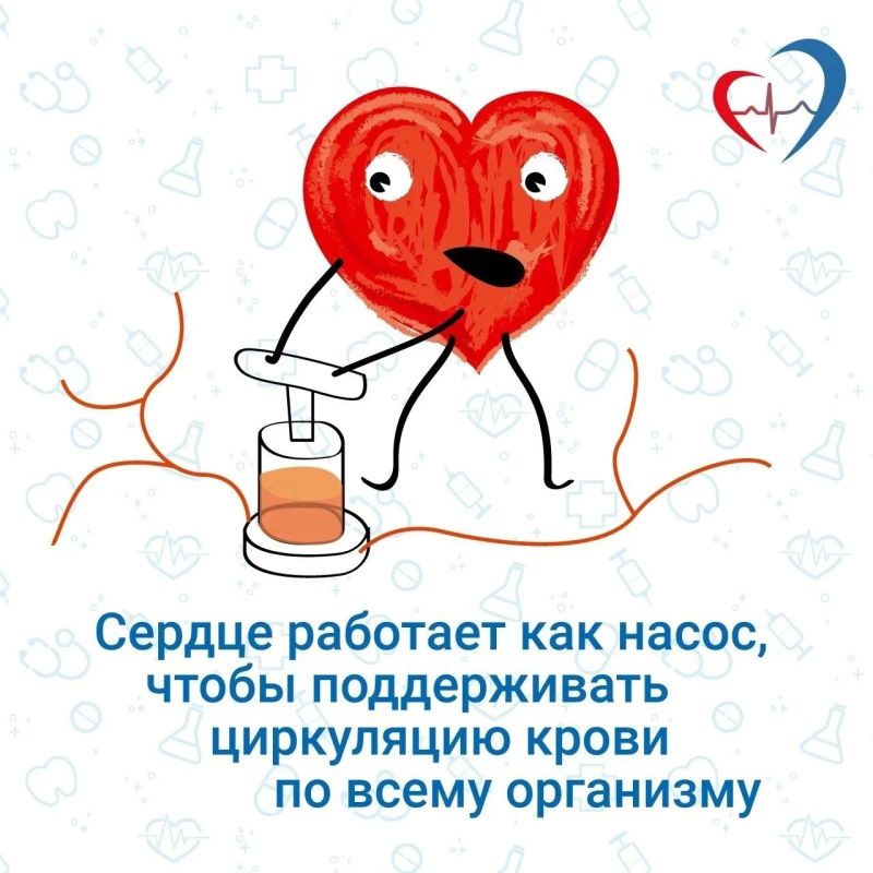 10 интересных фактов о сердечно-сосудистой системе 10 интересных фактов о сердечно-сосудистой системе