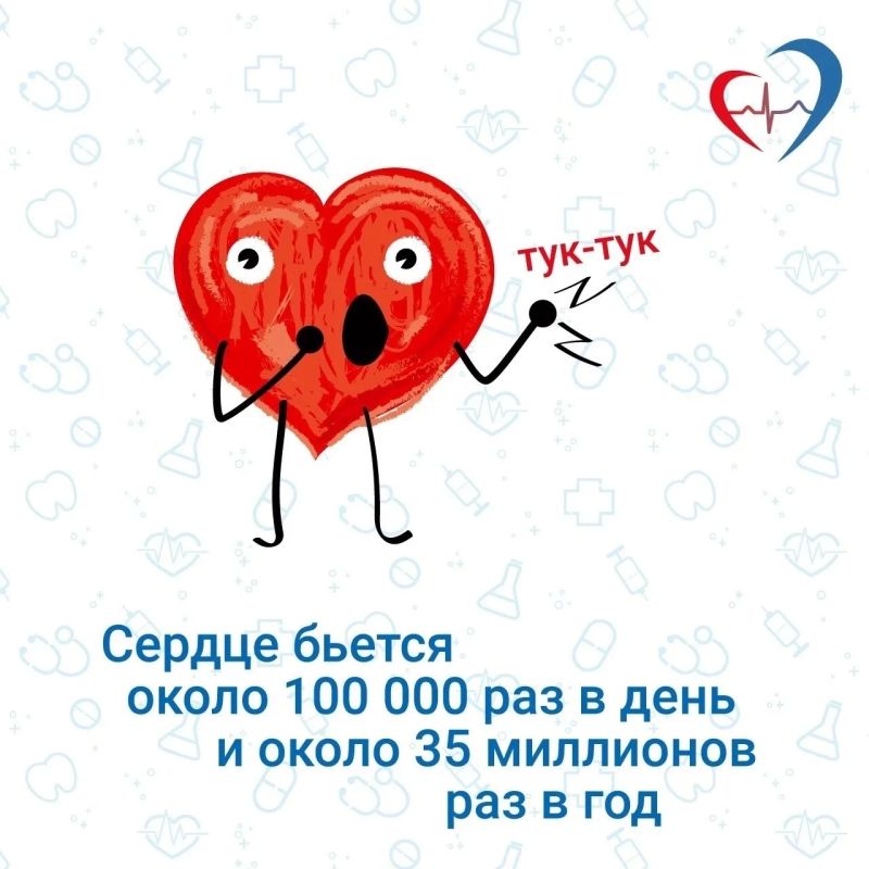 10 интересных фактов о сердечно-сосудистой системе 10 интересных фактов о сердечно-сосудистой системе