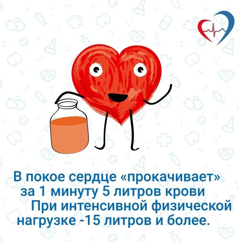 10 интересных фактов о сердечно-сосудистой системе 10 интересных фактов о сердечно-сосудистой системе