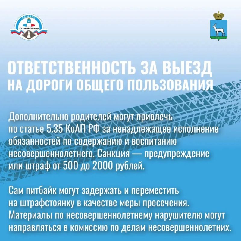 Информация для родителей. Подросток на питбайке на проезжей части — это прямая угроза жизни! Госавтоинспекция напоминает: выезд подростков на питбайках на дороги общего пользования запрещен законом Информация для родителей. Подросток на питбайке на проезжей части — это прямая угроза жизни! Госавтоинспекция напоминает: выезд подростков на питбайках на дороги общего пользования запрещен законом