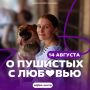 Акция «О пушистых с любовью» пройдет в Самаре ко Всемирному дню бездомных животных