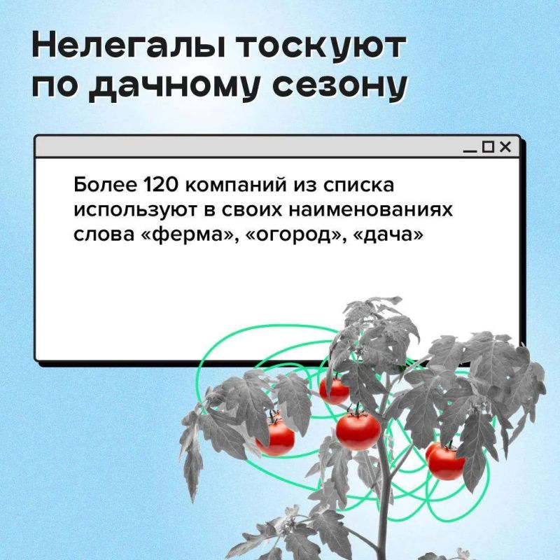 Как распознать финансовые пирамиды Как распознать финансовые пирамиды