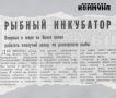 45 лет назад в газете «Волжская коммуна» вышел материал «Рыбный инкубатор»