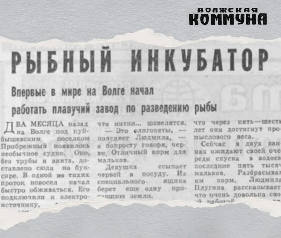 45 лет назад в газете «Волжская коммуна» вышел материал «Рыбный инкубатор»