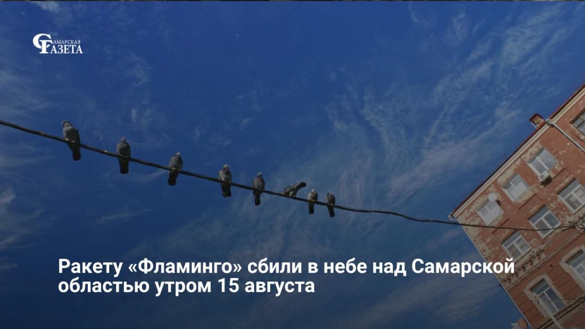 Крылатую ракету большой дальности «Фламинго» сбили в небе над Самарской областью утром 15 августа