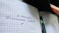 Самарским семьям с детьми могут начать выплачивать пособие к 1 сентября