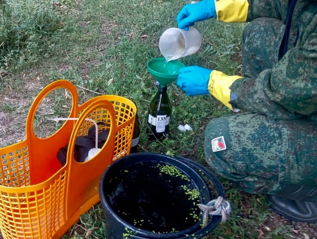 Массовая гибель рыбы в Овсянке могла произойти из-за слива в реку неизвестного вещества