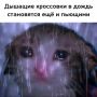 Жара в +32 вернется, но без дождя не обойдется: прогноз погоды на эту рабочую неделю