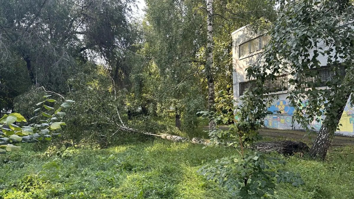 В Самаре устраняют последствия страшного урагана В Самаре устраняют последствия страшного урагана