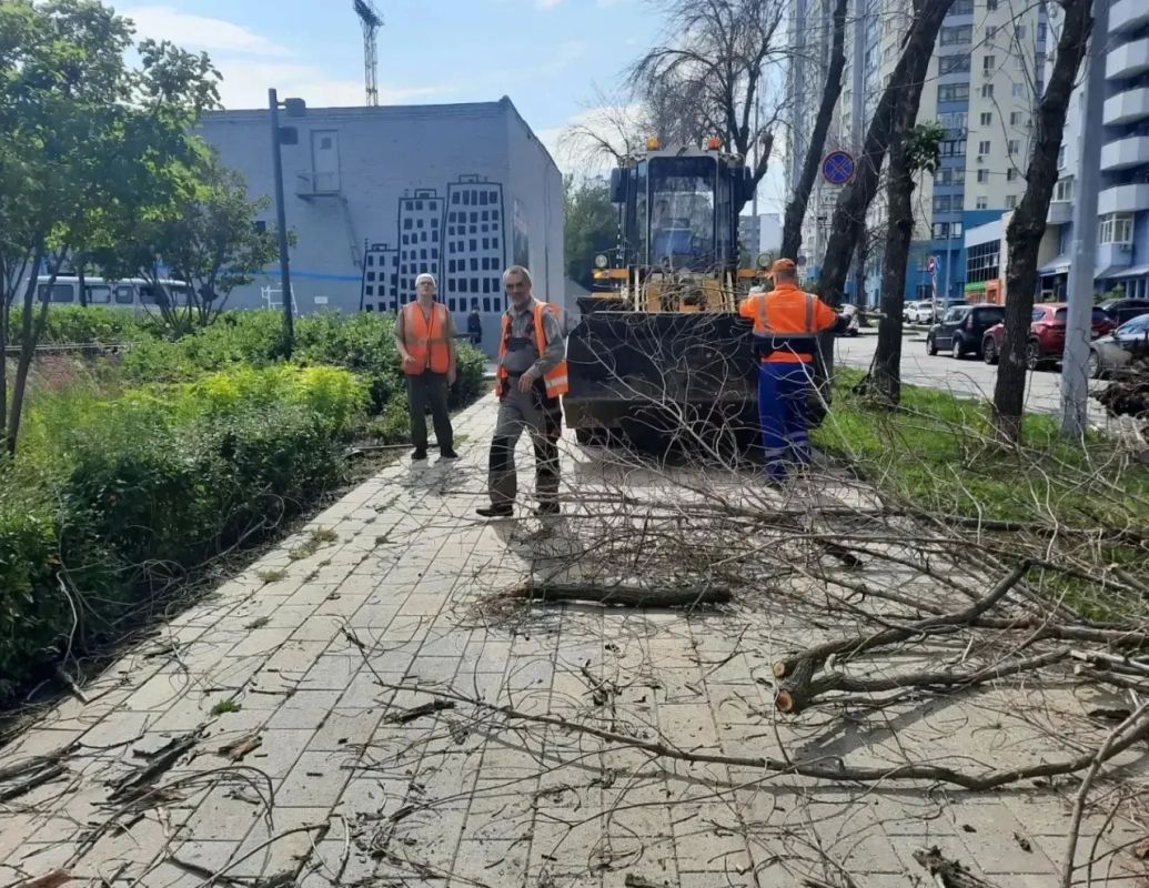 В Самаре ликвидировали последствия залпового ливня и штормового ветра В Самаре ликвидировали последствия залпового ливня и штормового ветра