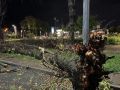 В Самаре устраняют последствия страшного урагана