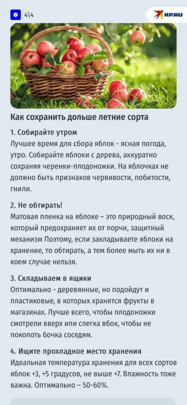 Ода яблокам: чем так полезен этот фрукт Ода яблокам: чем так полезен этот фрукт