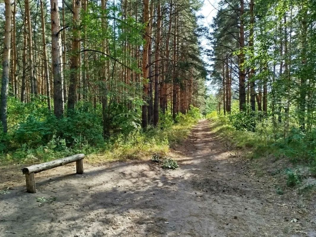 19 августа в Самарской области – День особо охраняемых природных территорий