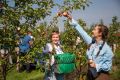 Научно-производственное предприятие «Агросад» – уникальное предприятие не только для Кинельского района, но и всей Самарской области