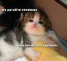 Лень - двигатель прогресса: топ ленивых изобретений (вы точно ими пользуетесь)