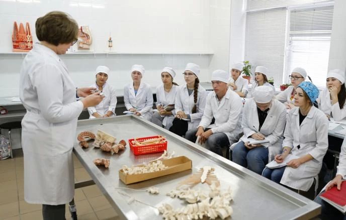 Минпросвещения назвало самые популярные специальности в колледжах в 2026 году