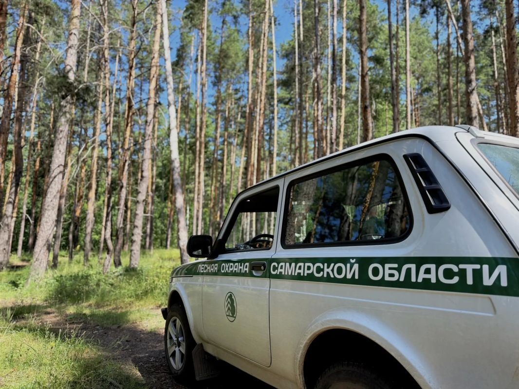 Лесная охрана Самарской области пресекла 9 нарушений за прошедшую неделю