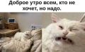 ������ ����, ������!. ������� ������� ��� ��� ���������� �����! ������� ��������� ���������� ����������, ������� ������� ��������������� �����, �����