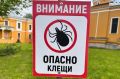 Самарцы пожаловались на то, что парк «Дружба» кишит клещами