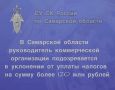 В Самарской области руководитель коммерческой организации подозревается в уклонении от уплаты налогов на сумму более 120 млн рублей