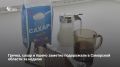 По данным Самарастата за 18–24 августа, в Самарской области заметнее всего подорожали гречка (+3,3% — 60,7 руб./кг), сахар (+2,7% — 82,67 руб./кг), пшено (+2,68% — 46,98 руб./кг) и сосиски (+2,47% — 531,38 руб./кг). Сметана...