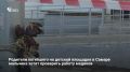 �������� 8-������� ������, �������� ������������ ��� ������� � ������ ����� 2 � �� ����� ���� �� ����� ��������, �������� ��������� ������ �������, ������� ��������� �������� ������ ������