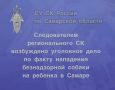 Следователем регионального СК возбуждено уголовное дело по факту нападения безнадзорной собаки на ребенка в Самаре