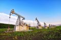 В Самарской области выставили на торги семь нефтяных скважин