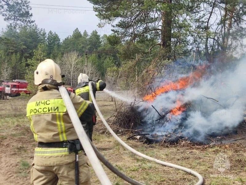В лесах Самарской области сохраняется высокая пожарная опасность