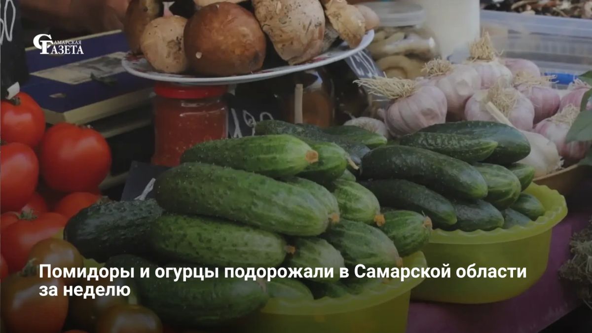 По данным Самарастата, с 25 по 31 августа в Самарской области изменились цены на овощи: свежие огурцы подорожали на 6,57% (до 103,37 руб./кг), а помидоры — на 3,01% (до 154,7 руб./кг), в то время как картофель (55,41 руб.)...