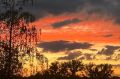 � ��������� ������� ����� �������� ����������� ���������