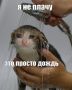 Готовим зонтики: какая погода ждет нас в эти выходные?