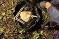 В паспорте 29летнего уроженца Кемеровской области стояла поддельная дата рождения