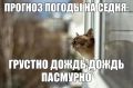 ������ ����, ������!. ���� ��� ���� ����������� �������