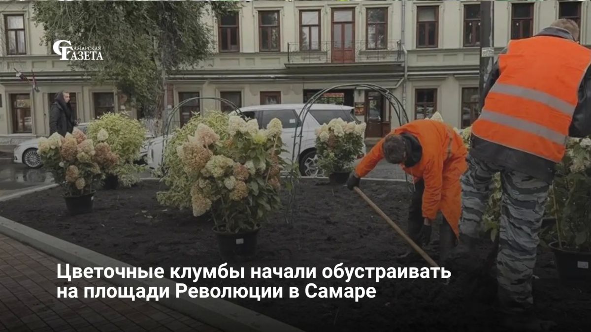 В центре Самары на площади Революции начали обустраивать три декоративные клумбы