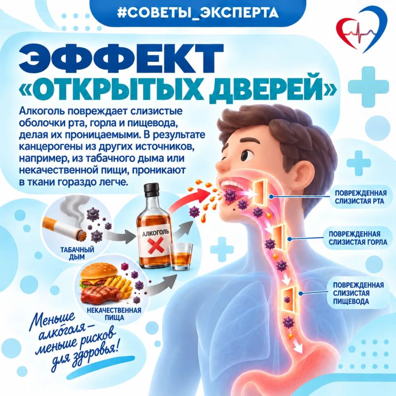 Специалист: "Даже небольшие дозы алкоголя, употребляемые регулярно, повышают статистический риск развития рака" Специалист: "Даже небольшие дозы алкоголя, употребляемые регулярно, повышают статистический риск развития рака"